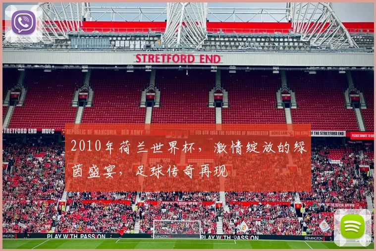 2010年荷兰世界杯，激情绽放的绿茵盛宴，足球传奇再现