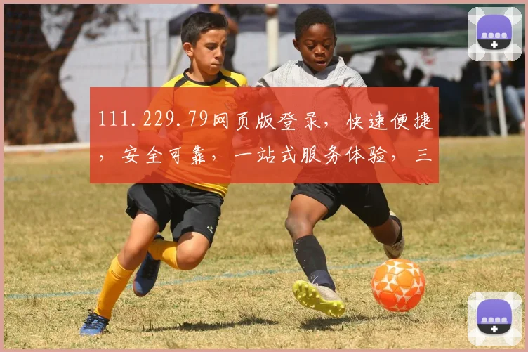 111.229.79网页版登录，快速便捷，安全可靠，一站式服务体验，三步轻松登录
