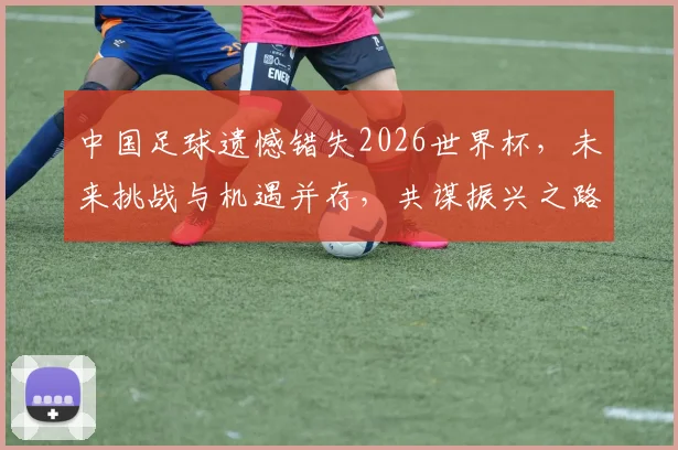 中国足球遗憾错失2026世界杯，未来挑战与机遇并存，共谋振兴之路。